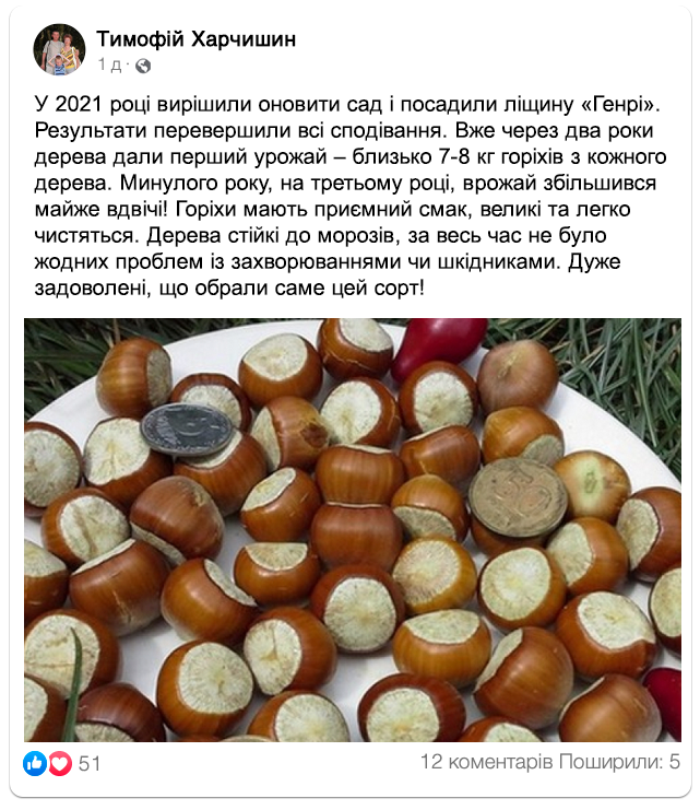 Заголовок